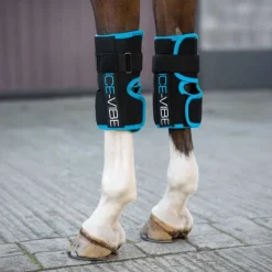 Guêtres de soin pour genoux Ice-Vibe Horseware