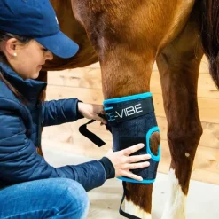 Guêtres de soin pour jarrets Ice-Vibe Horseware