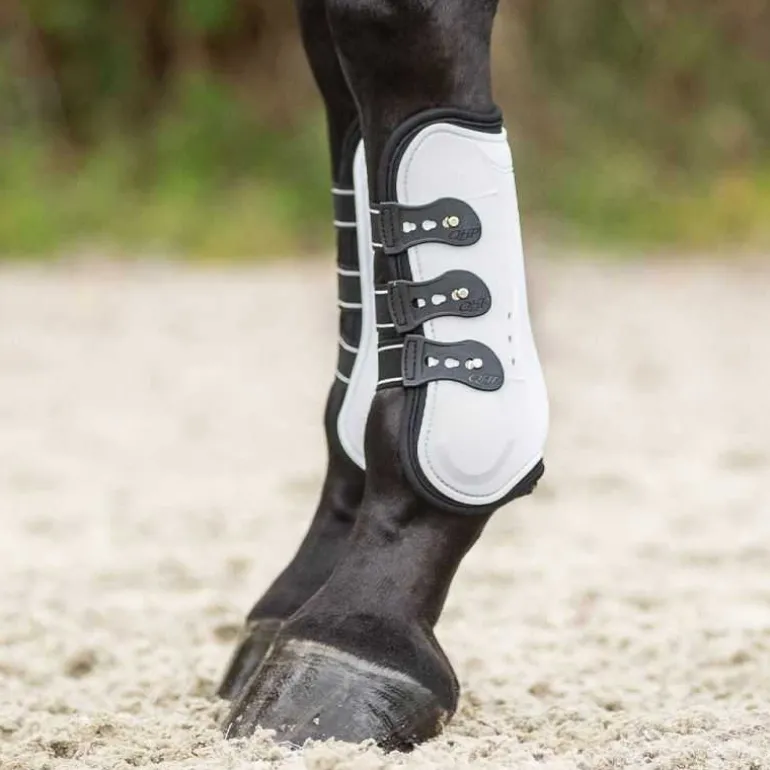 Guêtres ouvertes Champion QHP