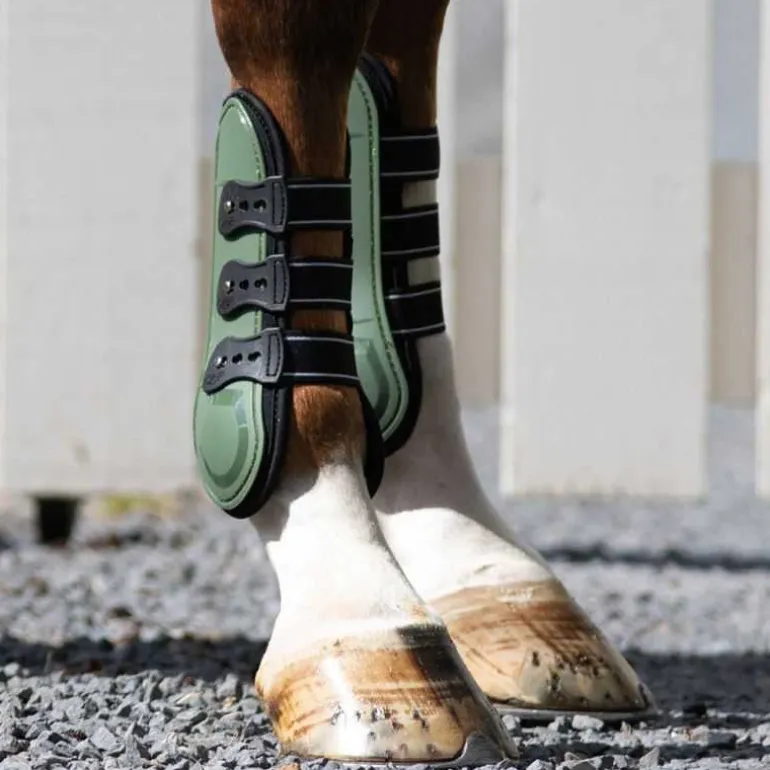 Guêtres ouvertes Champion QHP