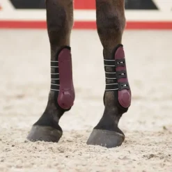 Guêtres ouvertes Champion QHP