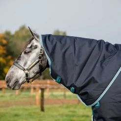 Horseware couverture d'hiver 250g avec cou Amigo Bravo 12 Plus Medium