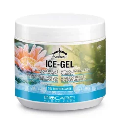 Ice Gel Veredus - Gel rafraichissant