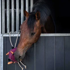 Jouet balle pour Chevaux QHP