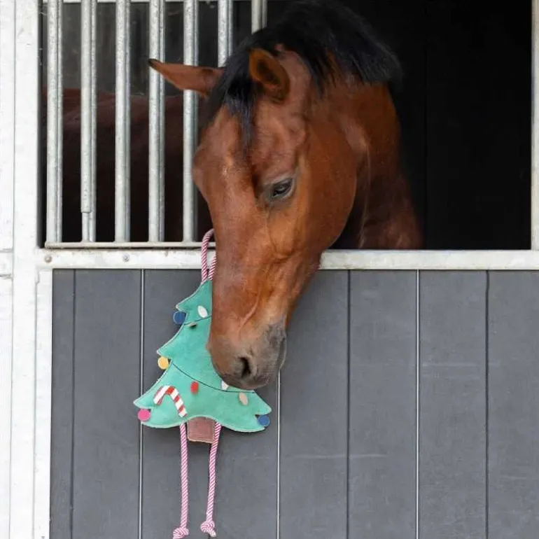 Jouet pour Chevaux Noël QHP