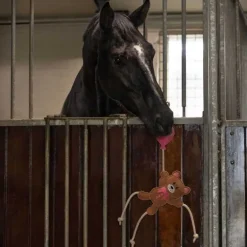 Jouets pour chevaux Saint Valentin QHP