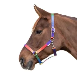 Licol arc en ciel Waldhausen
