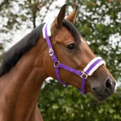 Licol Cali Q-Essentials