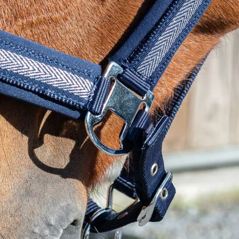 Licol chevron Stationata