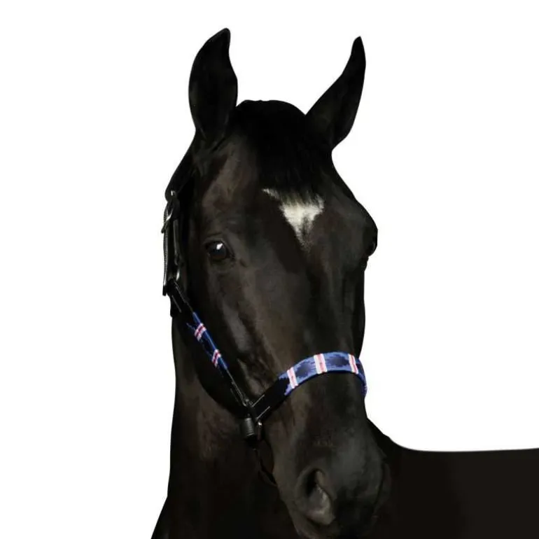 Licol Chukka Flags&Cup