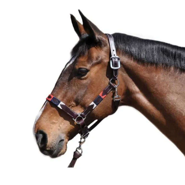 Licol Chukka Flags&Cup