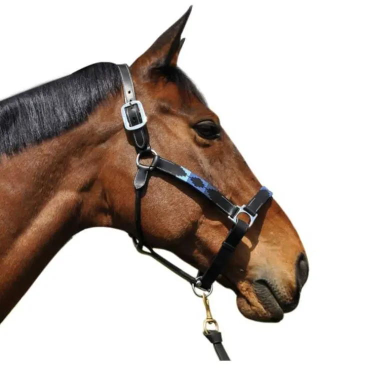 Licol Chukka Flags&Cup