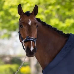 Licol control Eskadron