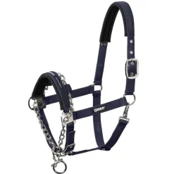 Licol control Eskadron