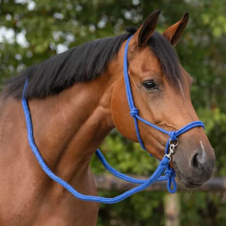 Licol corde avec rênes QHP