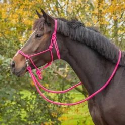 Licol corde Color avec rênes Q-Essentials