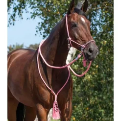 Licol corde et cordelette Liberty QHP