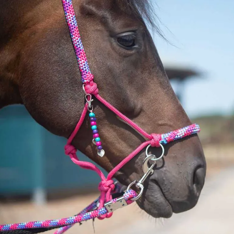 Licol corde et cordelette Liberty QHP