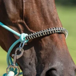 Licol corde et cordelette Liberty QHP