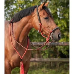 Licol corde et cordelette Liberty QHP