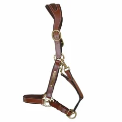 Licol cuir avec plaque T de T