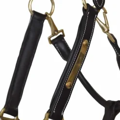 Licol cuir avec plaque T de T