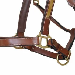 Licol cuir avec plaque T de T