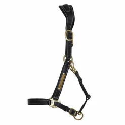 Licol cuir avec plaque T de T