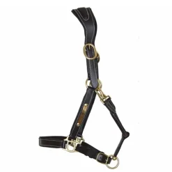 Licol cuir avec plaque T de T