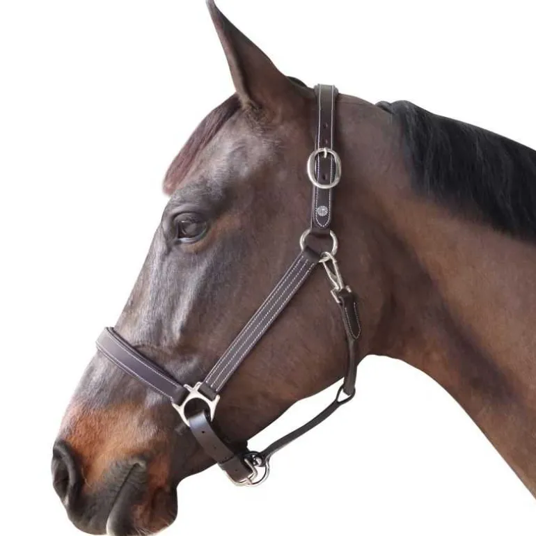 Licol cuir doublé CANTER