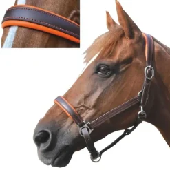 Licol cuir doublé CANTER