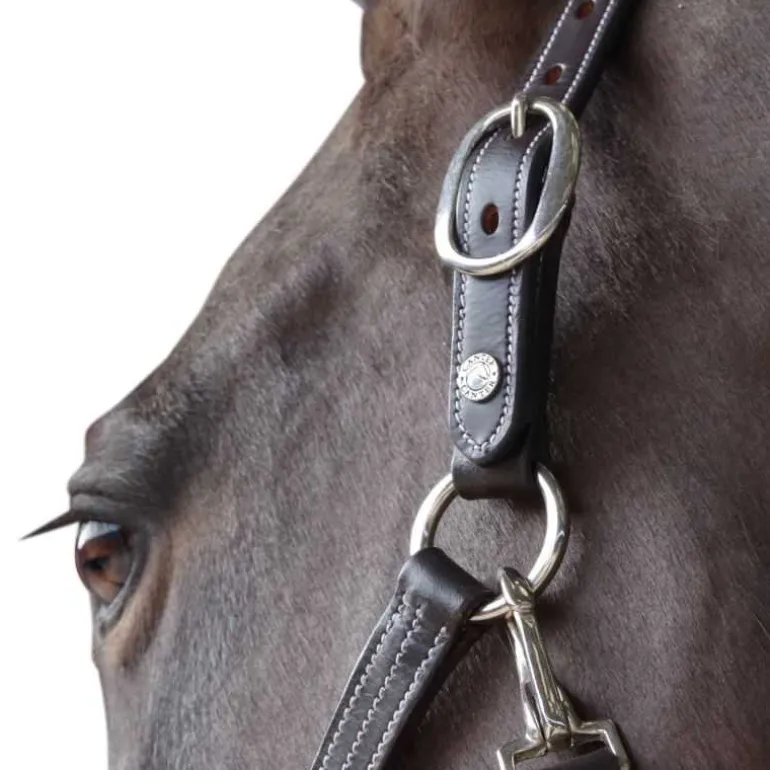 Licol cuir doublé CANTER