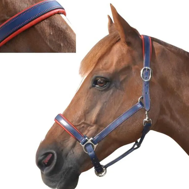 Licol cuir doublé CANTER