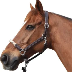 Licol cuir et corde CANTER