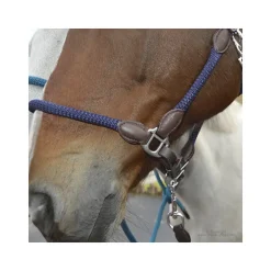 Licol cuir et corde Stationata