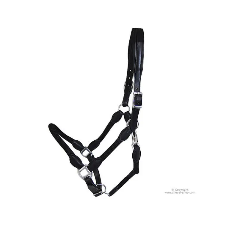 Licol cuir et corde Stationata