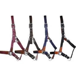 Licol cuir et sangle T de T