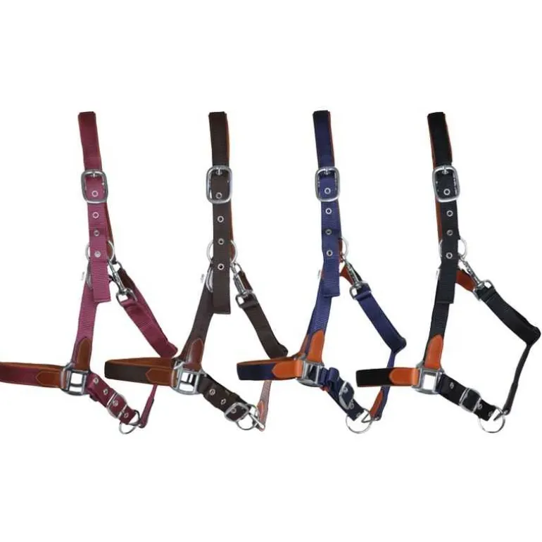 Licol cuir et sangle T de T