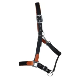 Licol cuir et sangle T de T