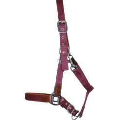 Licol cuir et sangle T de T