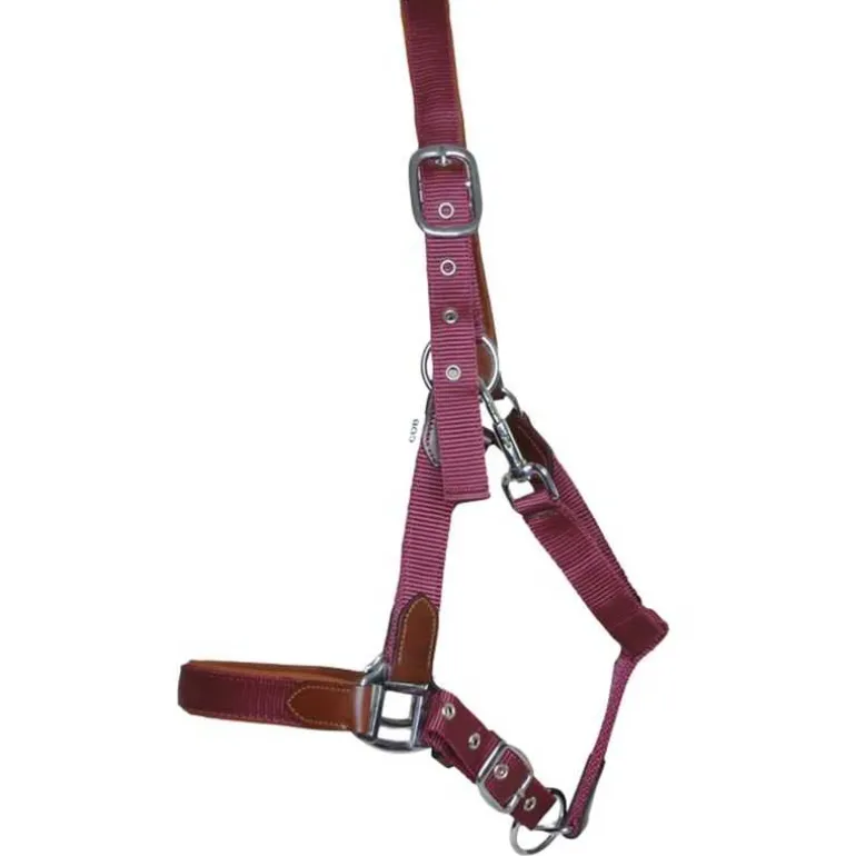 Licol cuir et sangle T de T