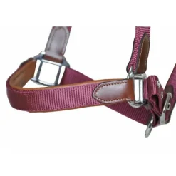 Licol cuir et sangle T de T