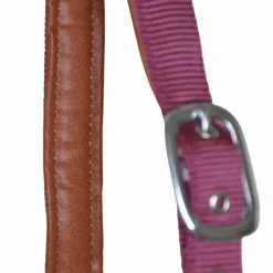 Licol cuir et sangle T de T