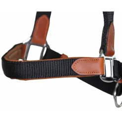 Licol cuir et sangle T de T