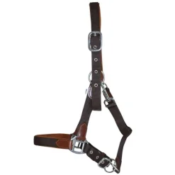 Licol cuir et sangle T de T