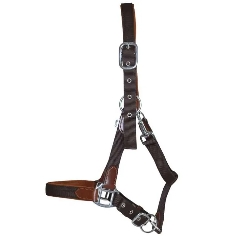 Licol cuir et sangle T de T