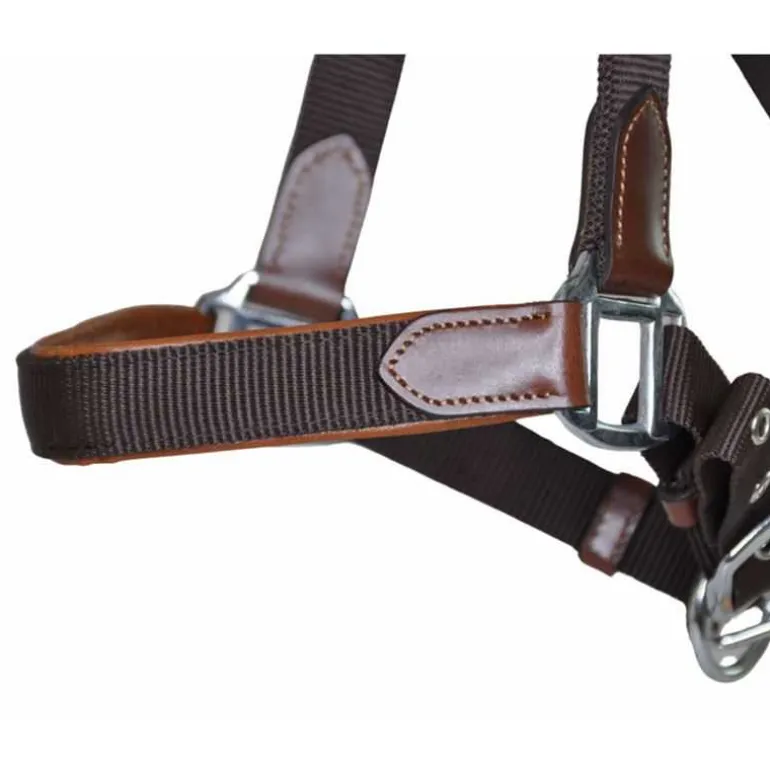 Licol cuir et sangle T de T