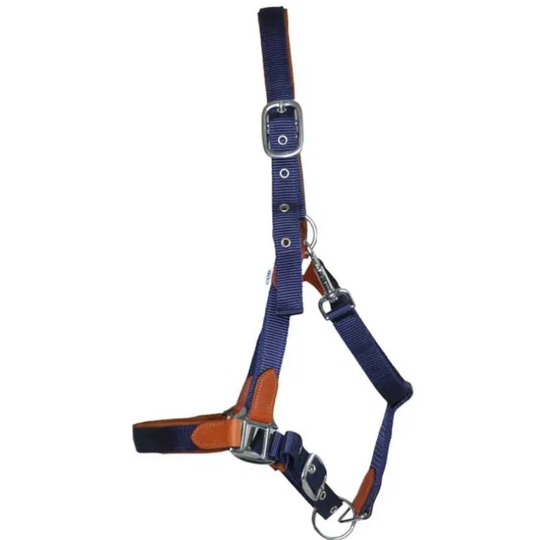 Licol cuir et sangle T de T