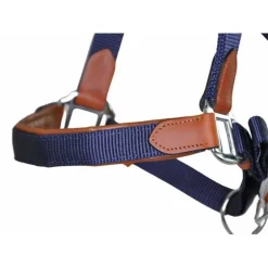 Licol cuir et sangle T de T