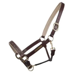 Licol cuir Lupine QHP